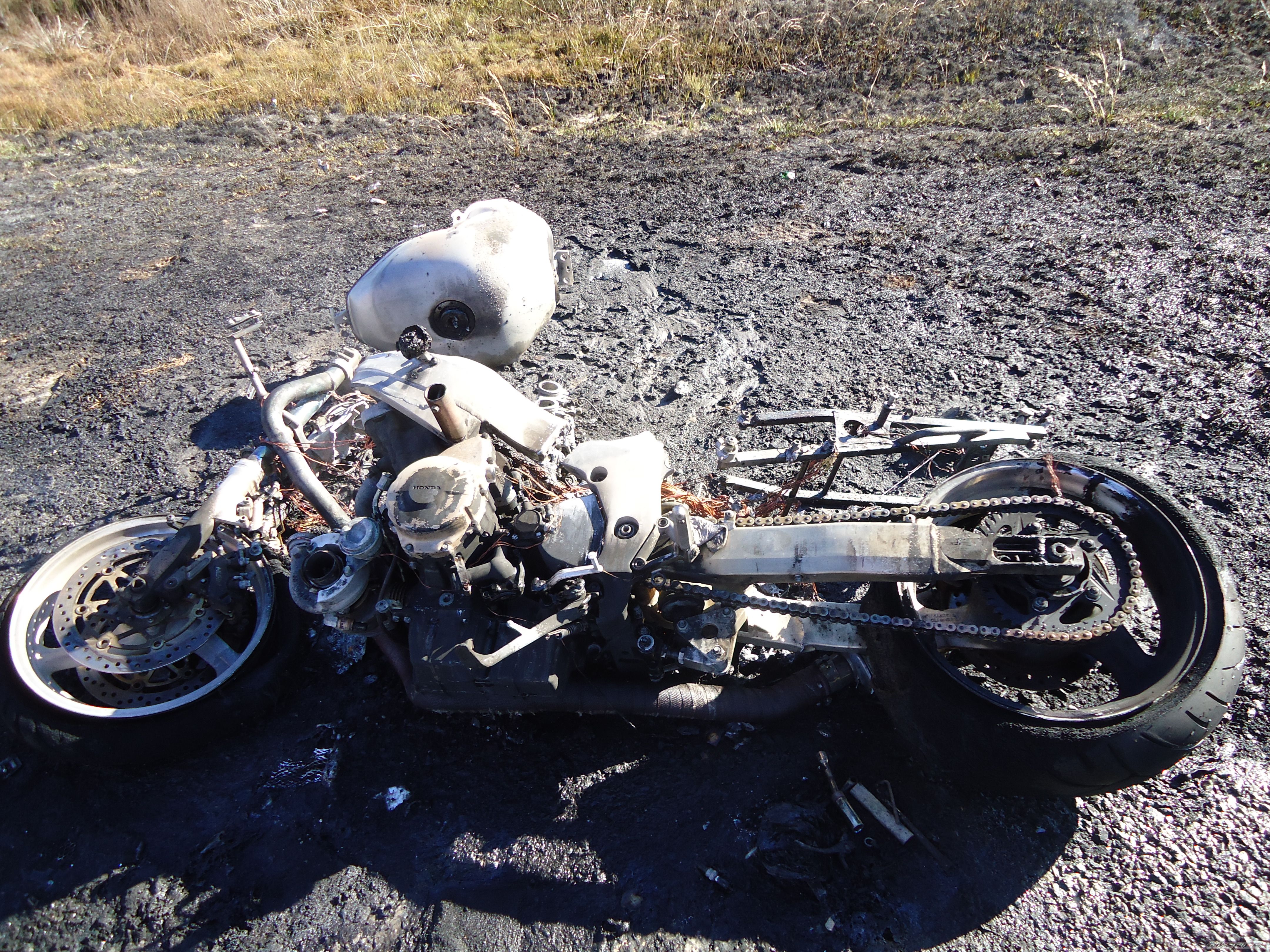 Photo 2099414