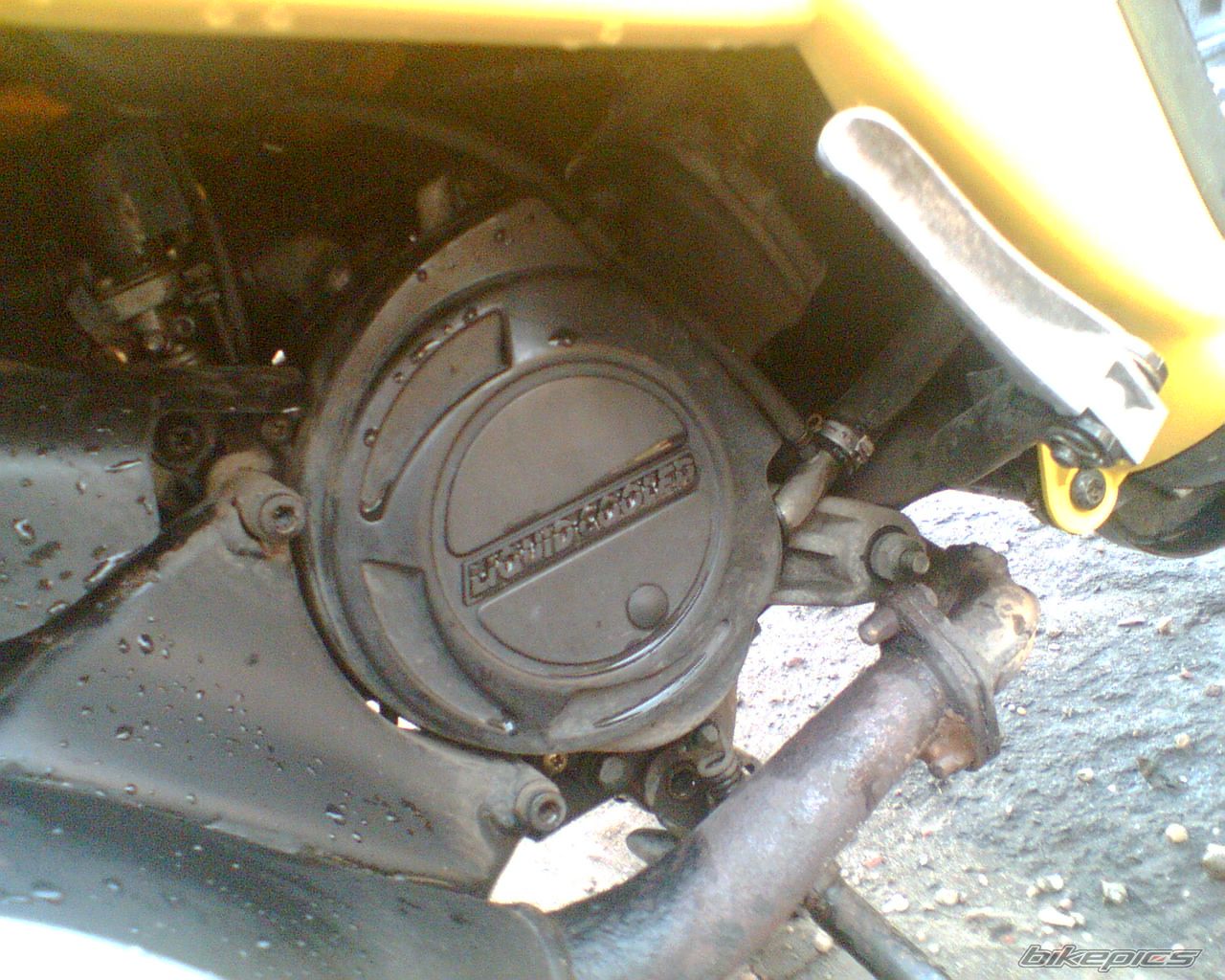 Photo 2099504