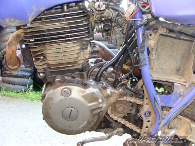 Photo 2099670
