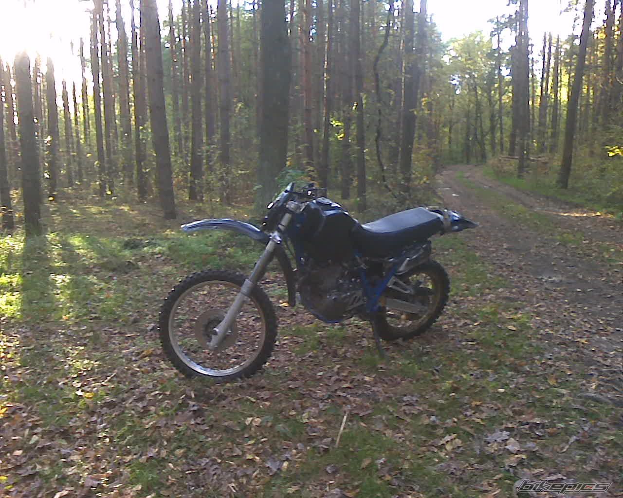Photo 2099672