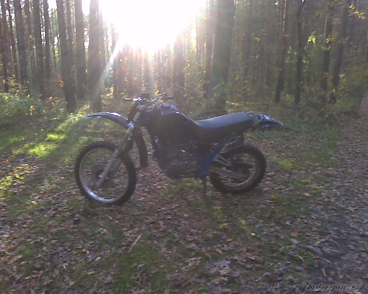 Photo 2099673