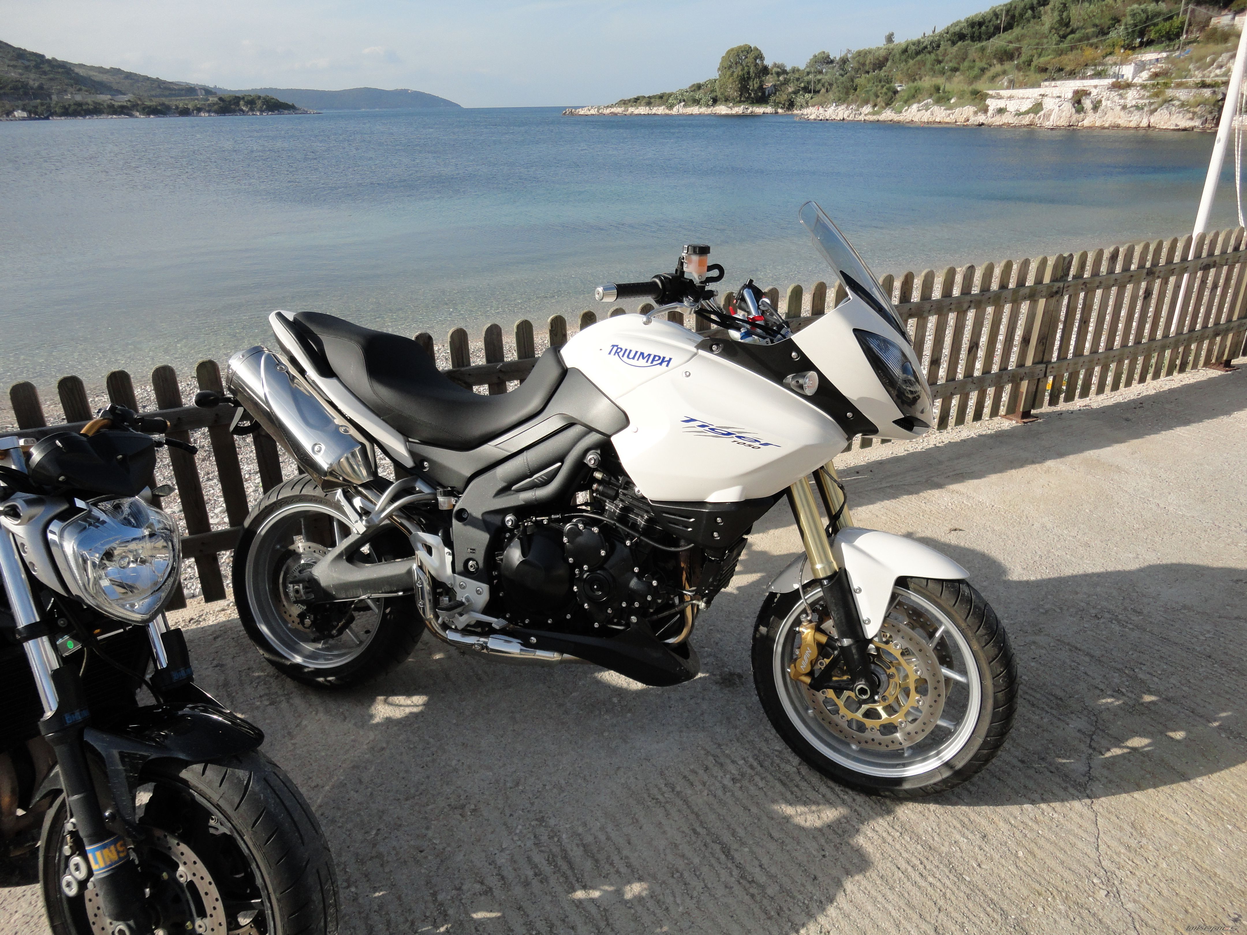 Photo 2099692