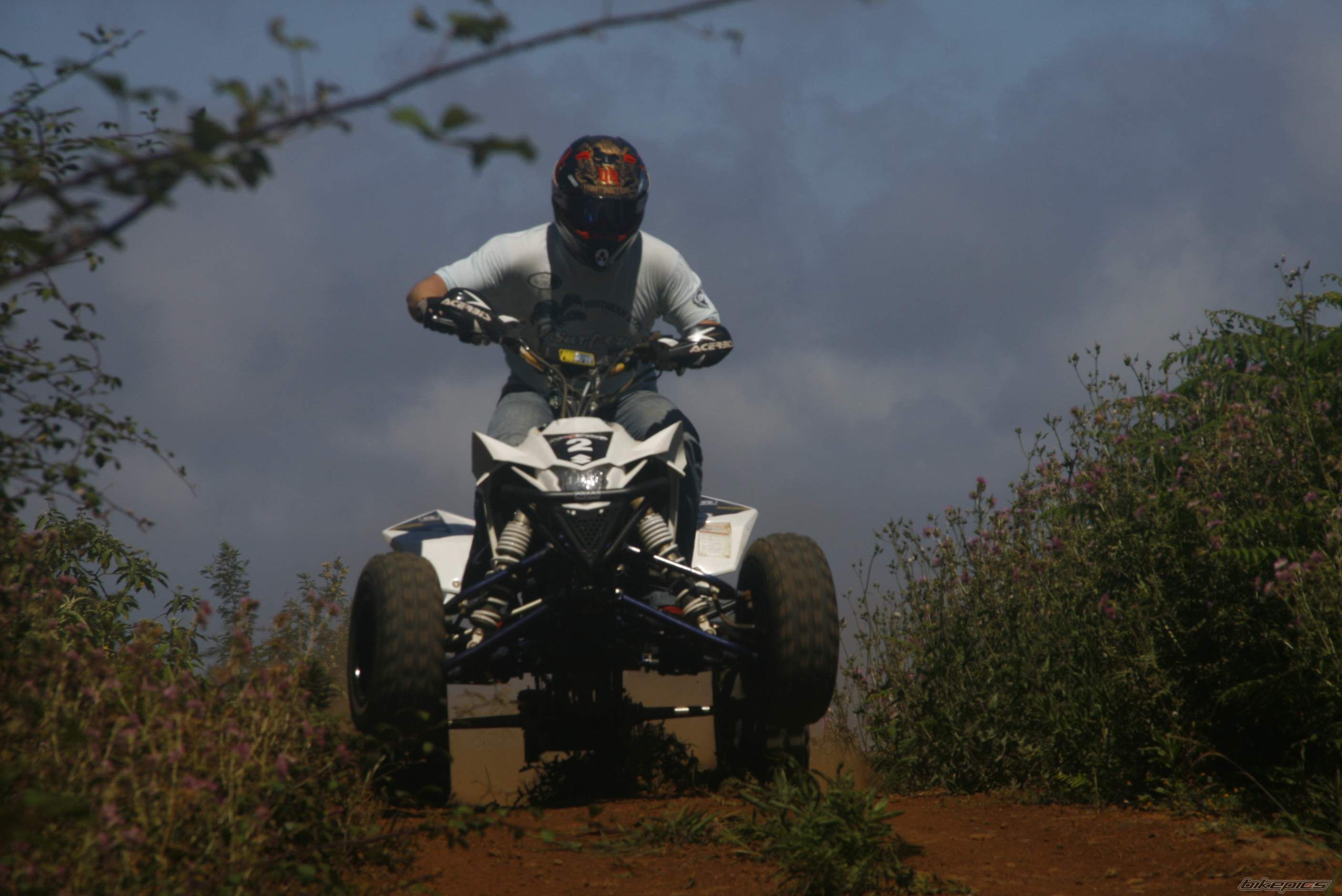 Photo 2099774