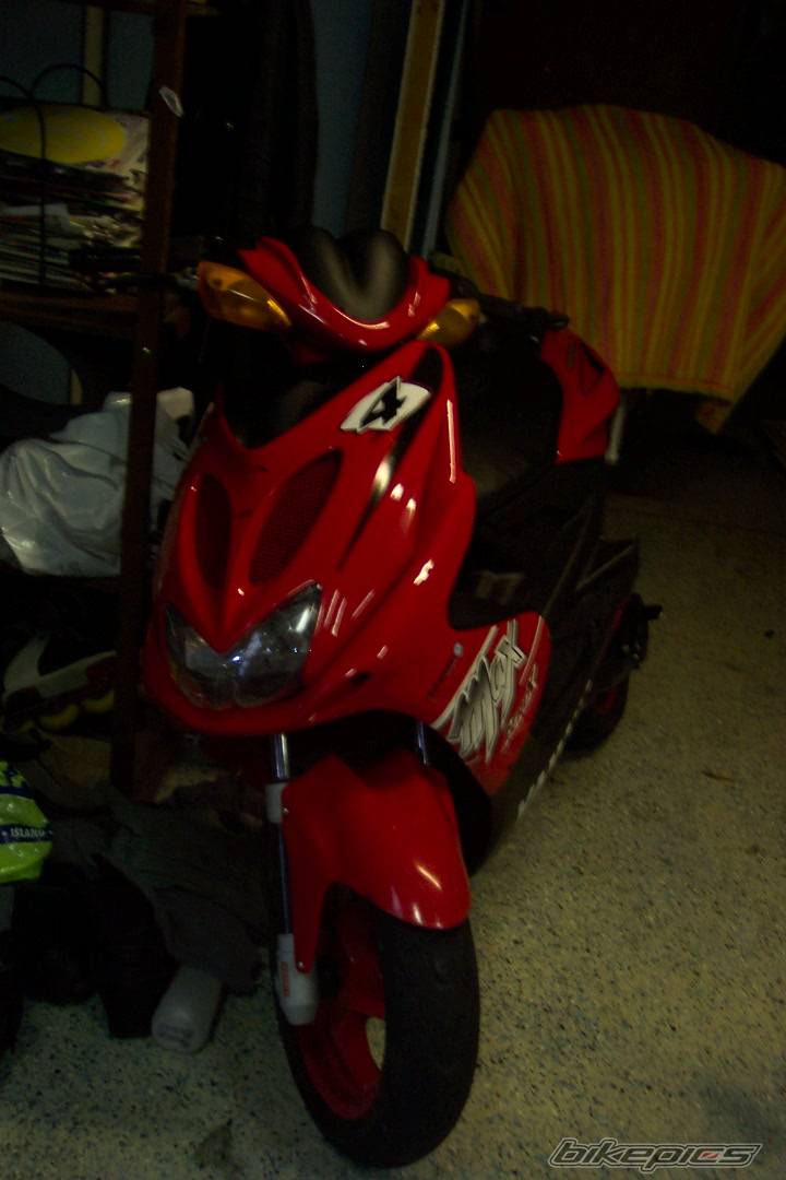 Photo 209978