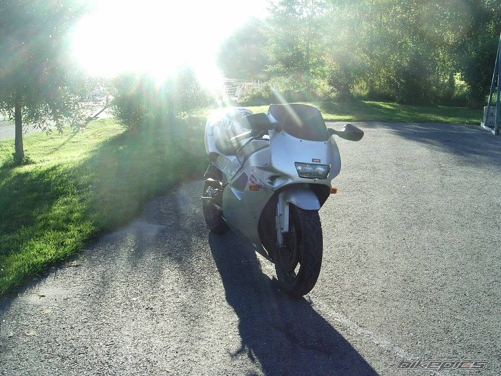 Photo 209981