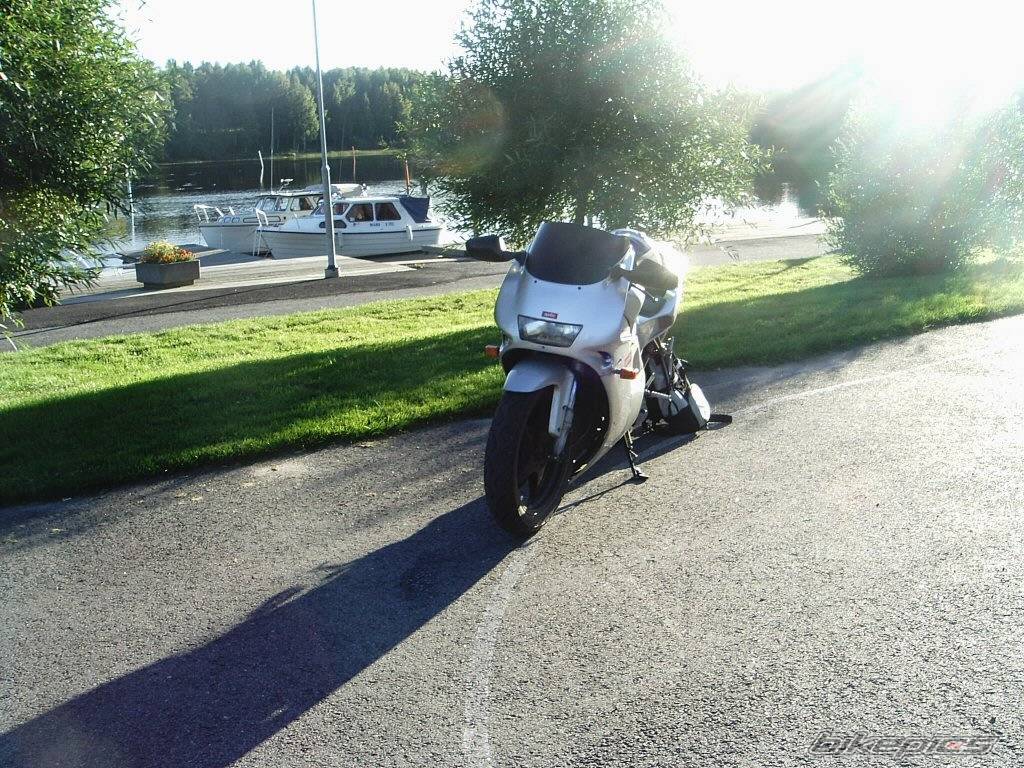 Photo 209982