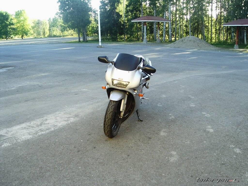 Photo 209983