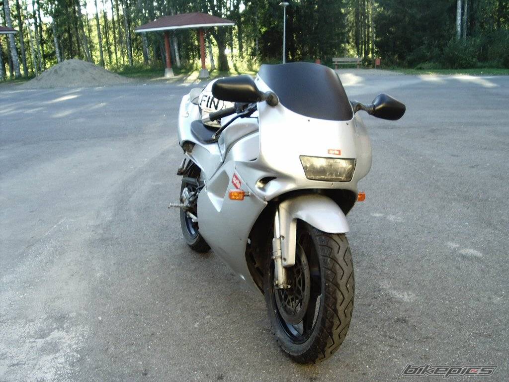 Photo 209986