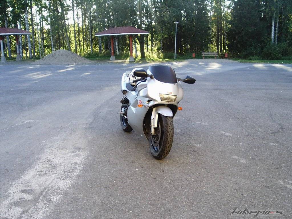 Photo 209989