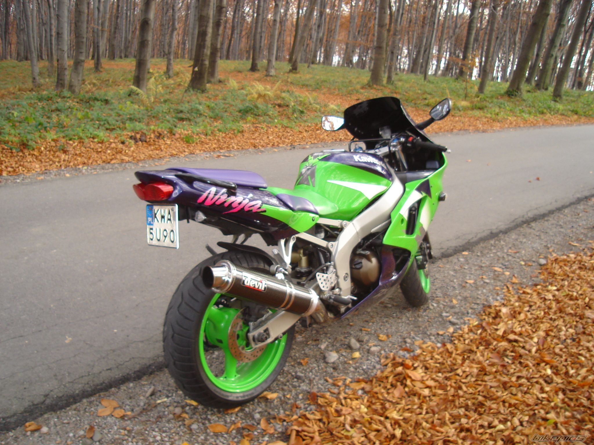 Photo 2100153