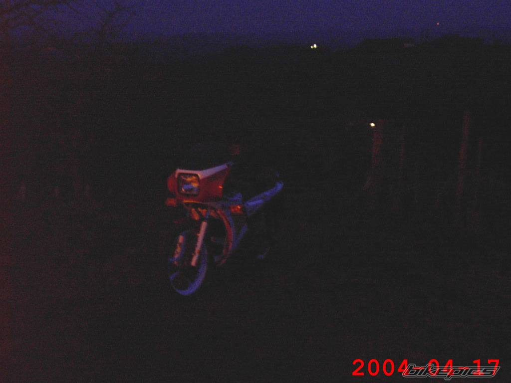 Photo 210025