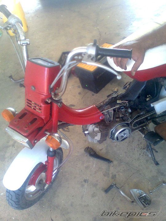 Photo 2100300