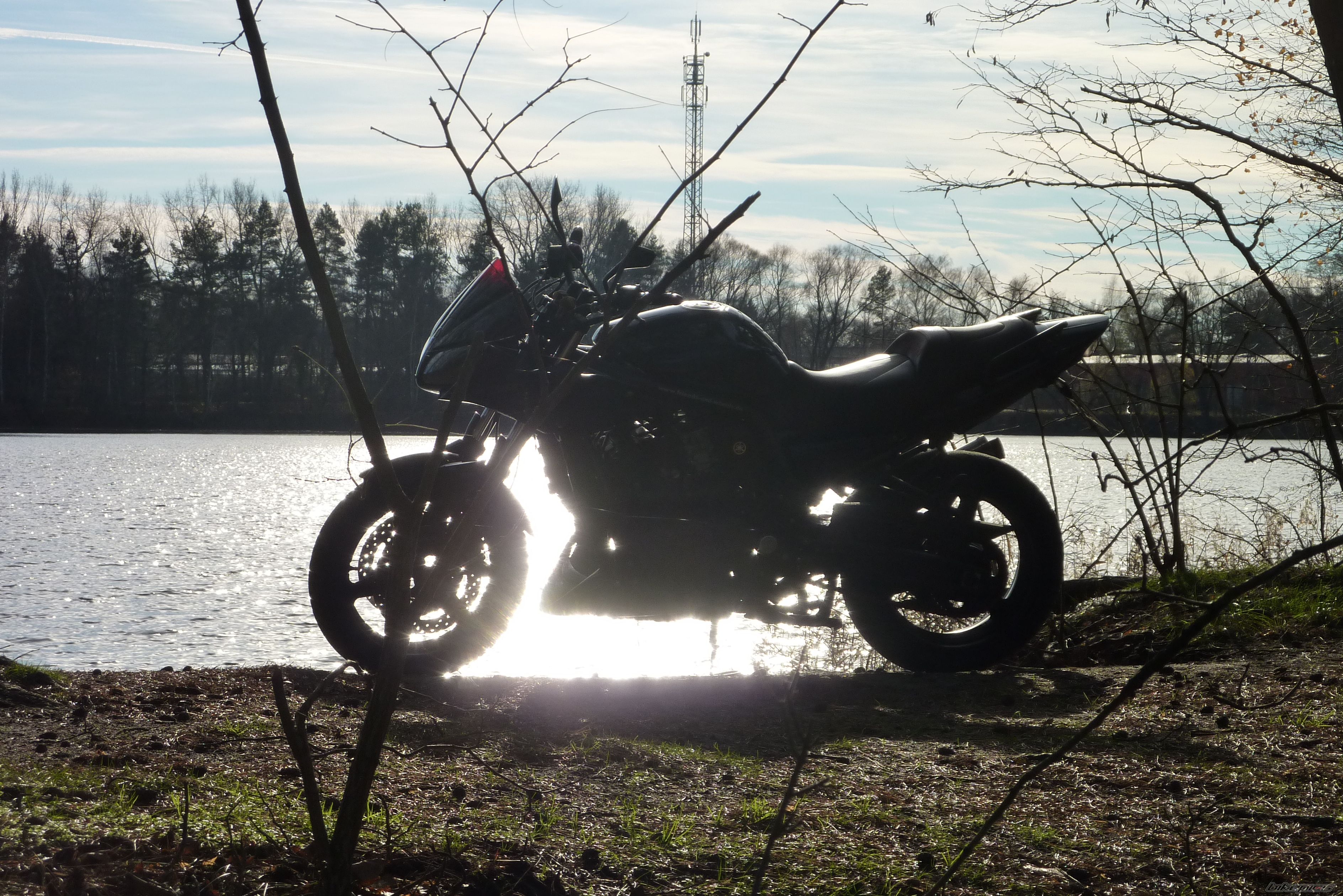 Photo 2100472