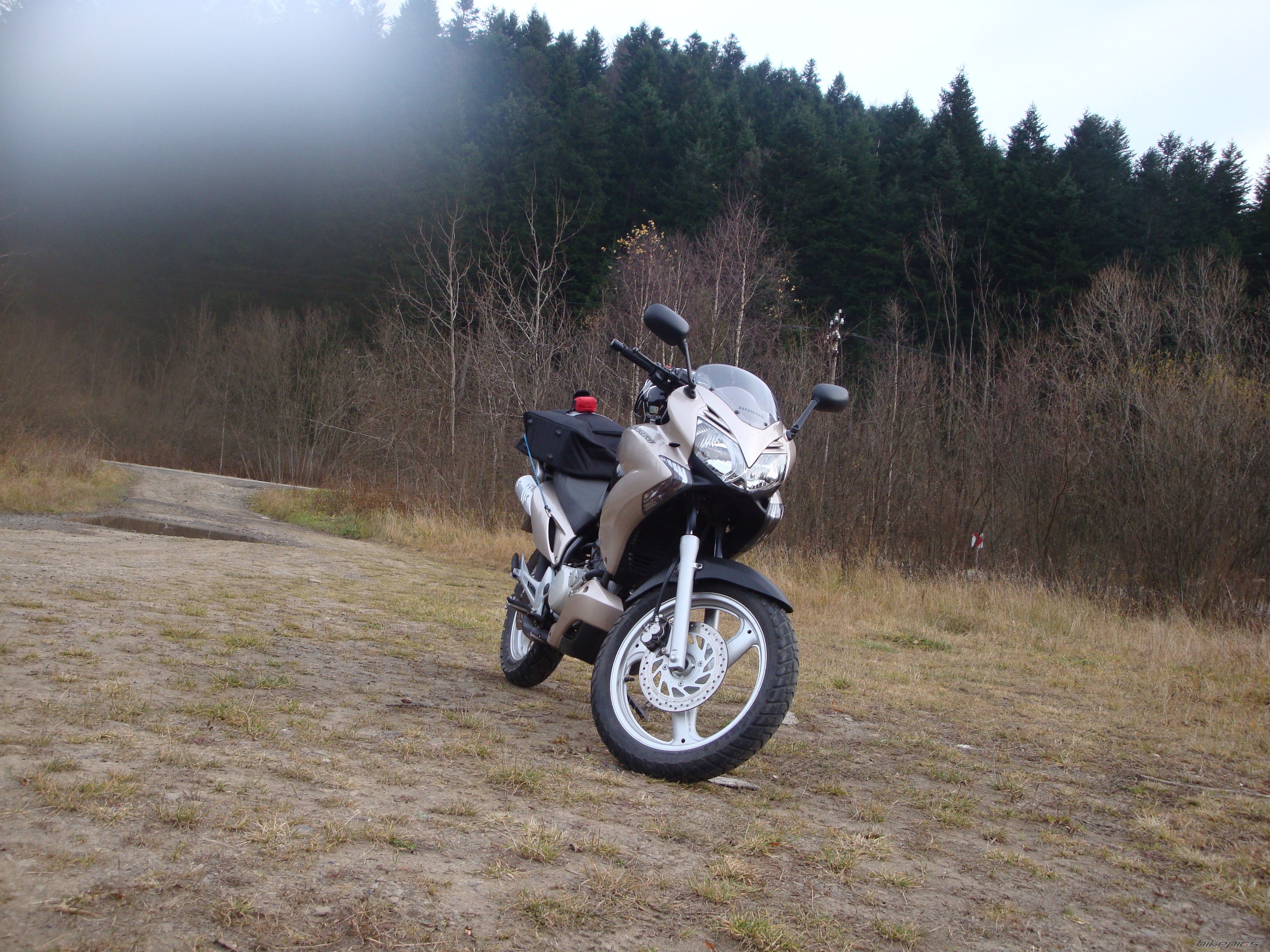 Photo 2100474