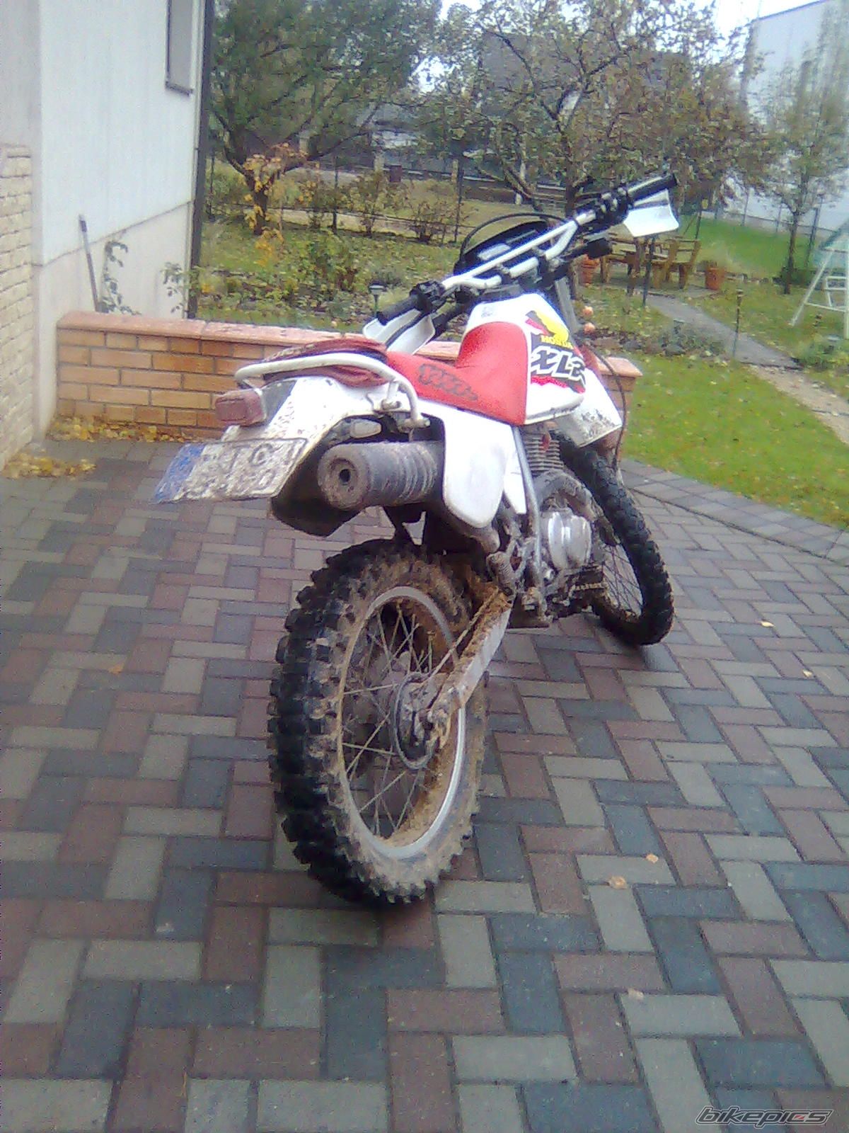 Photo 2100510