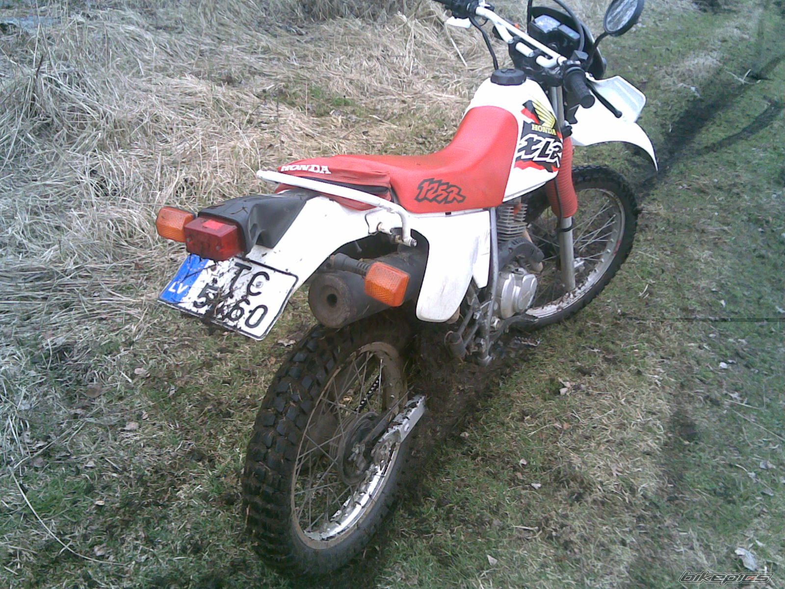 Photo 2100511