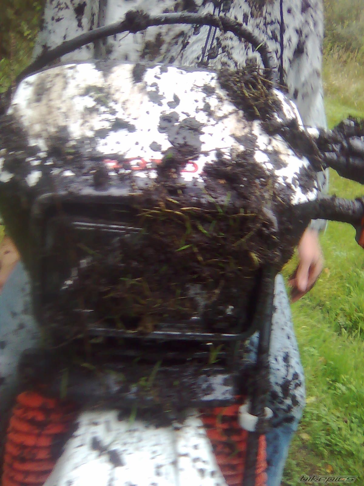 Photo 2100513