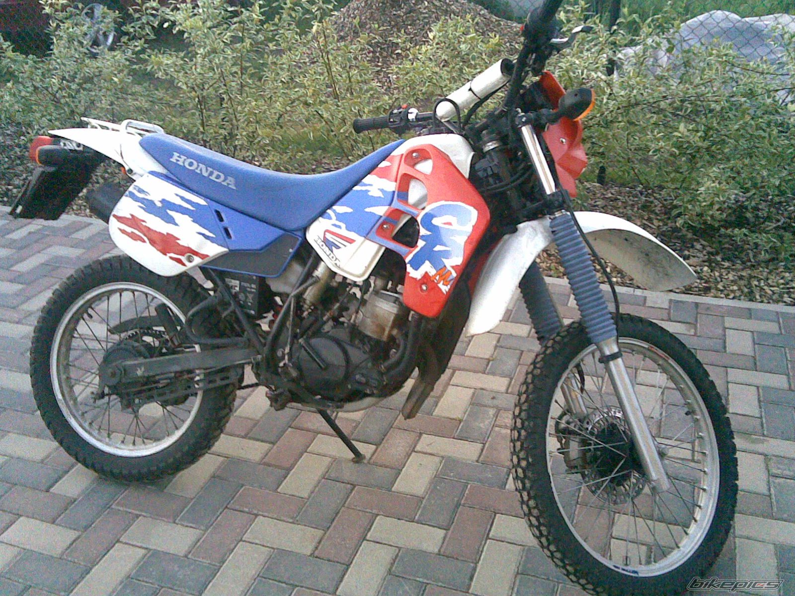 Photo 2100525