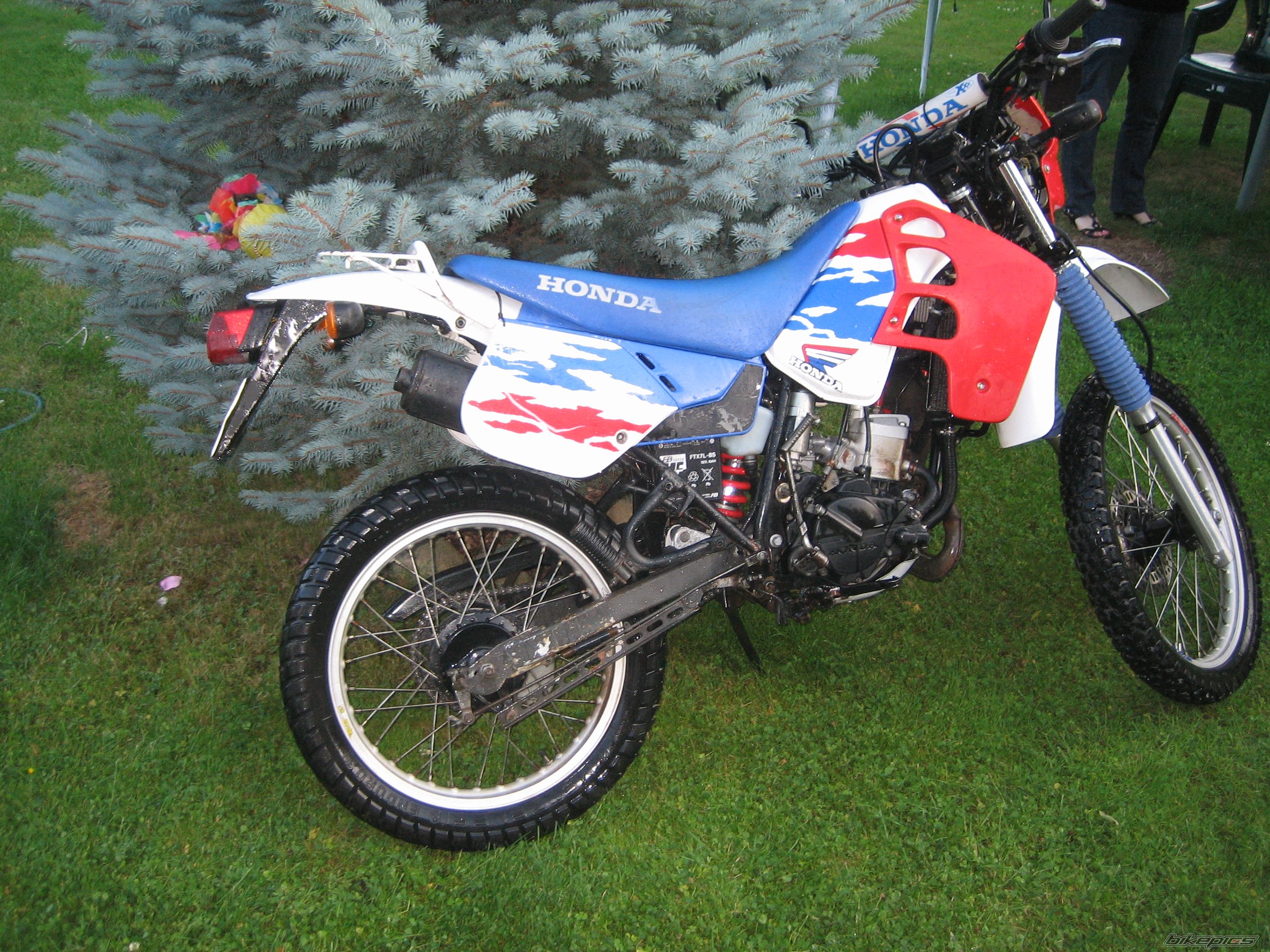 Photo 2100530