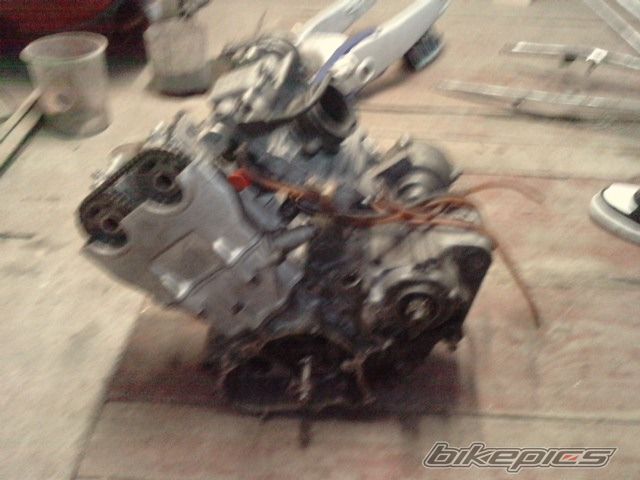 Photo 2100950