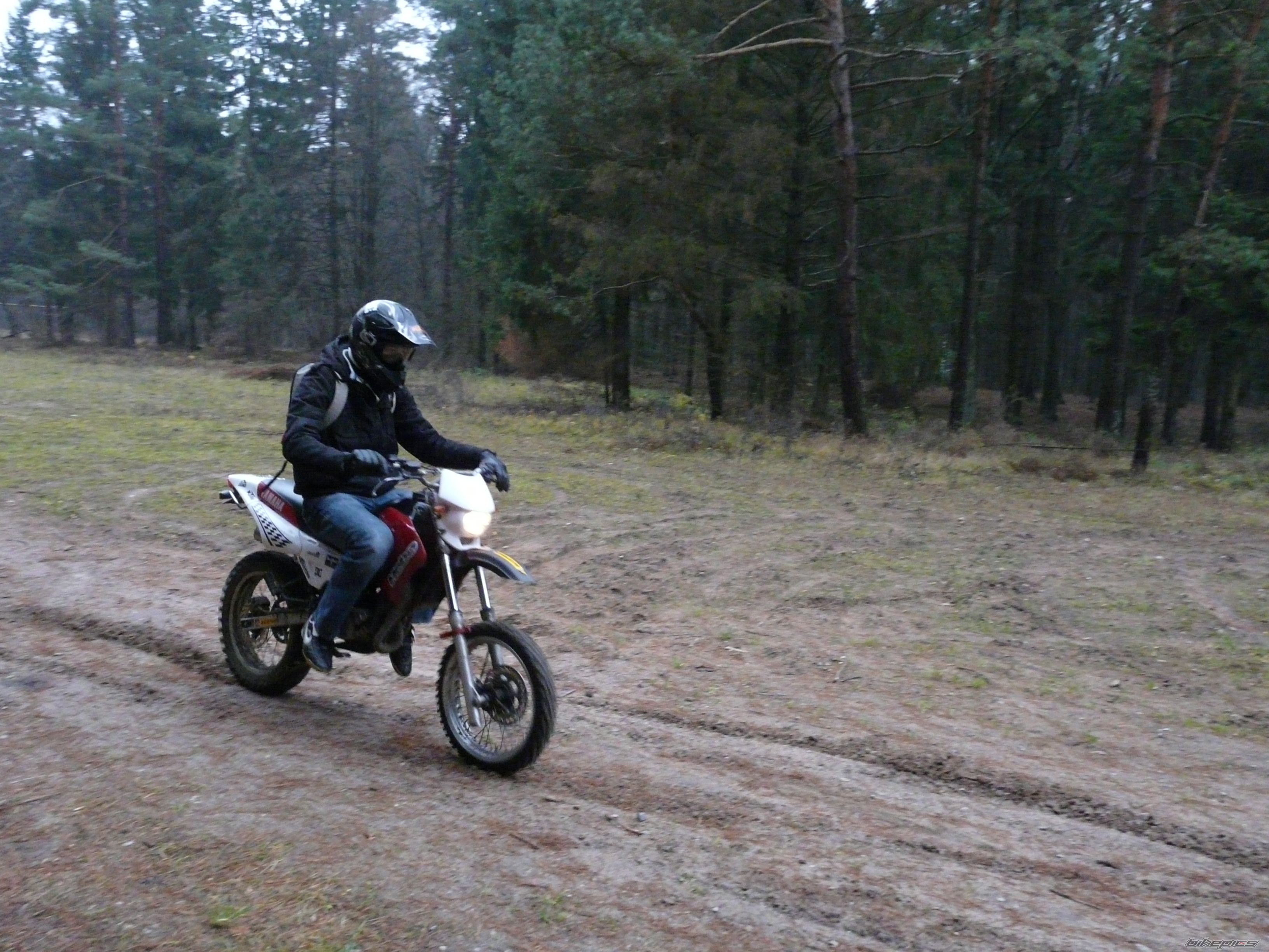 Photo 2100979