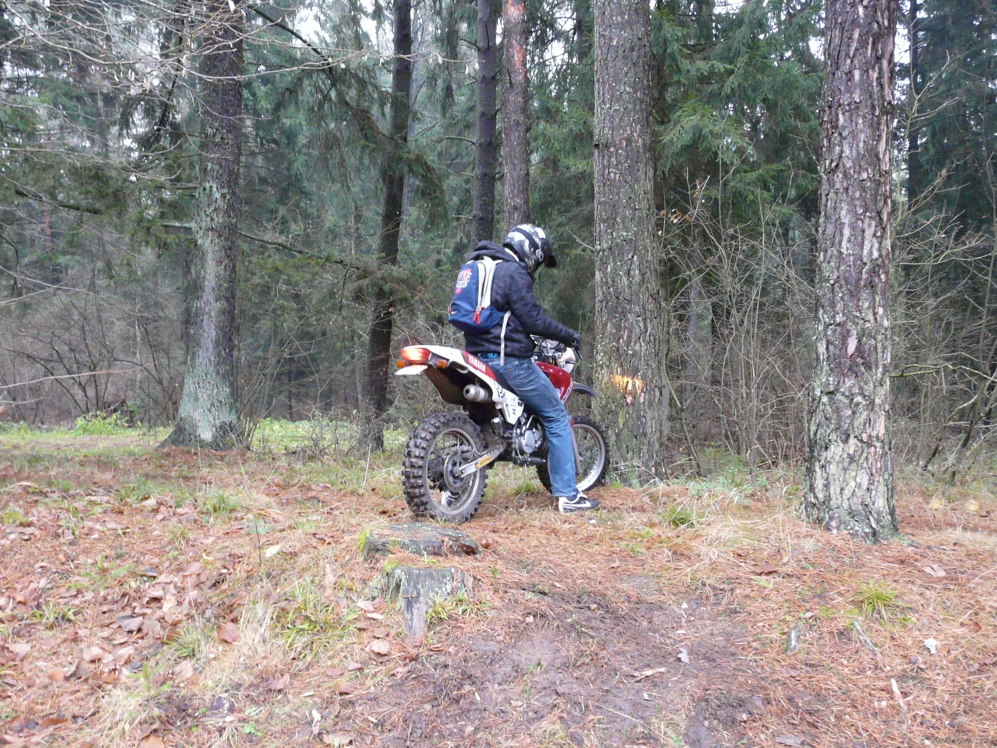 Photo 2100989