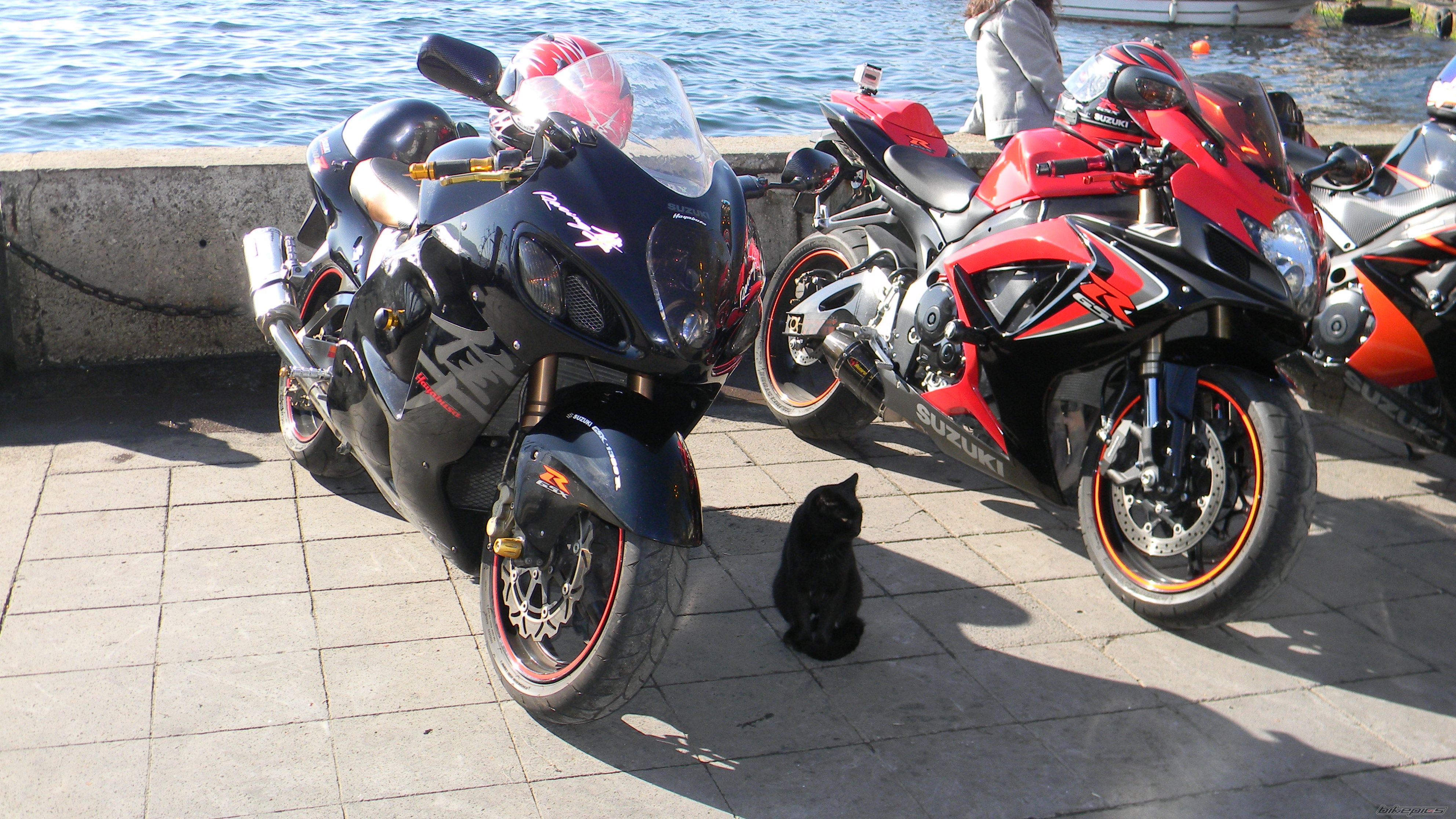Photo 2101001
