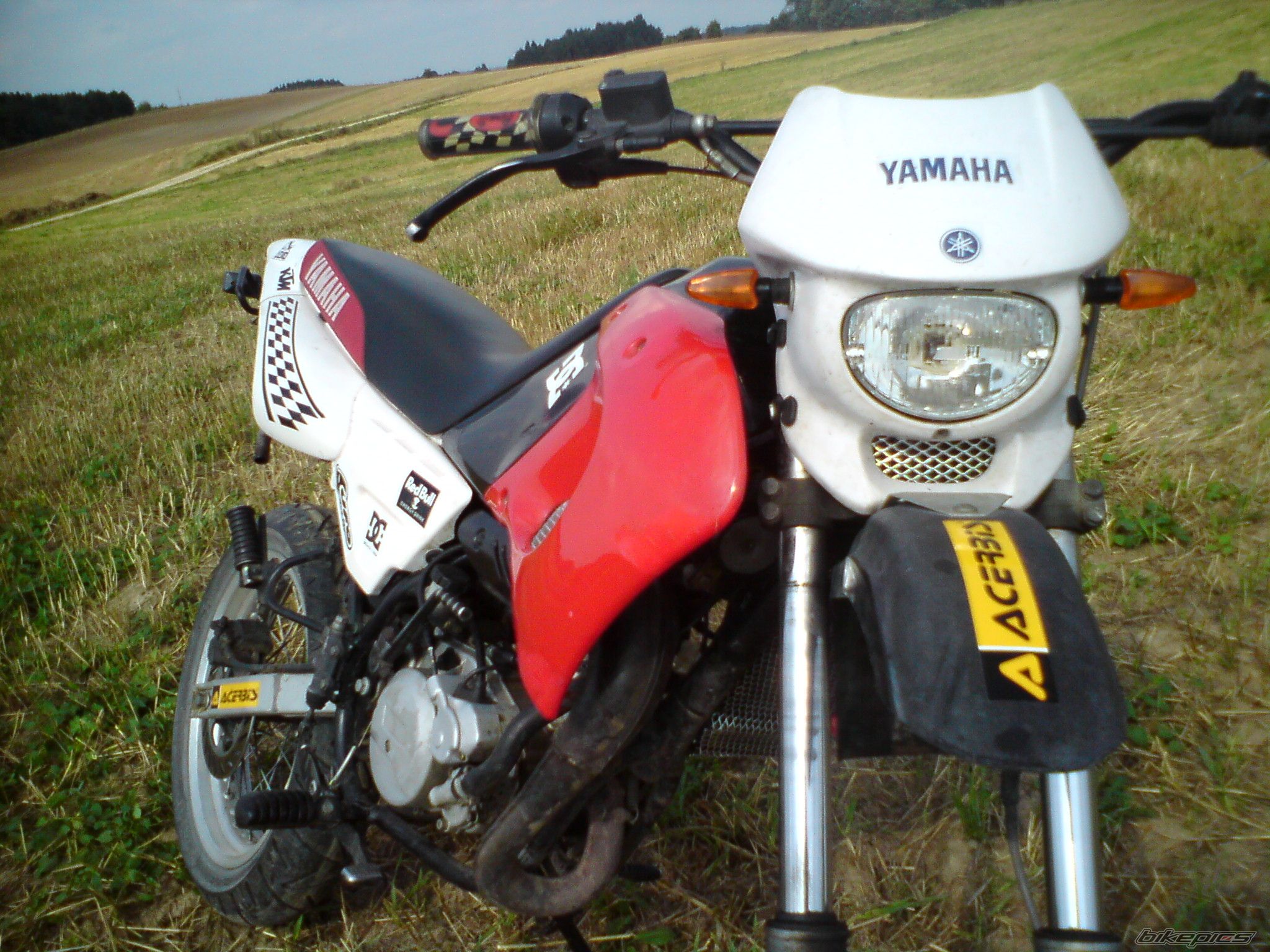 Photo 2101014