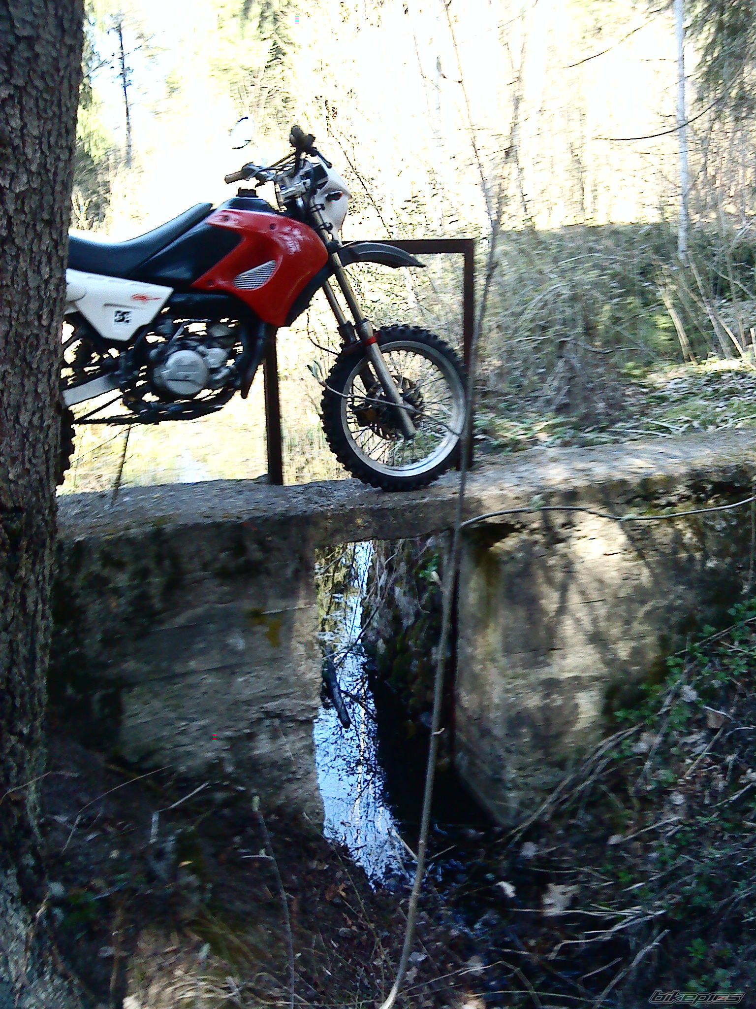 Photo 2101021