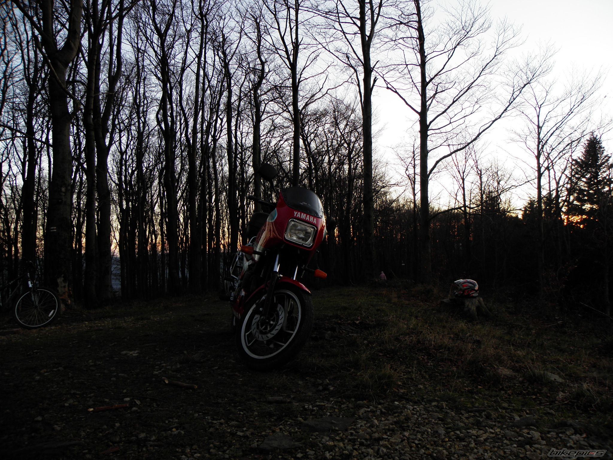 Photo 2101031