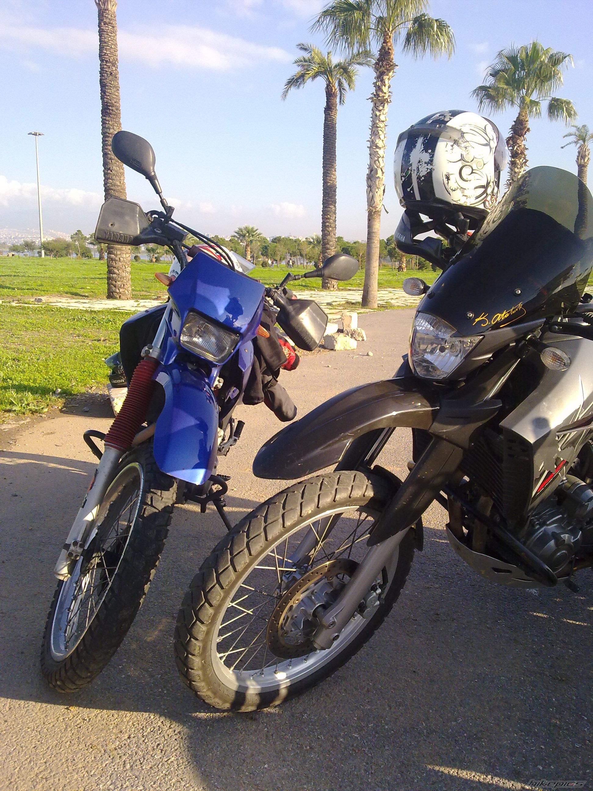 Photo 2101281