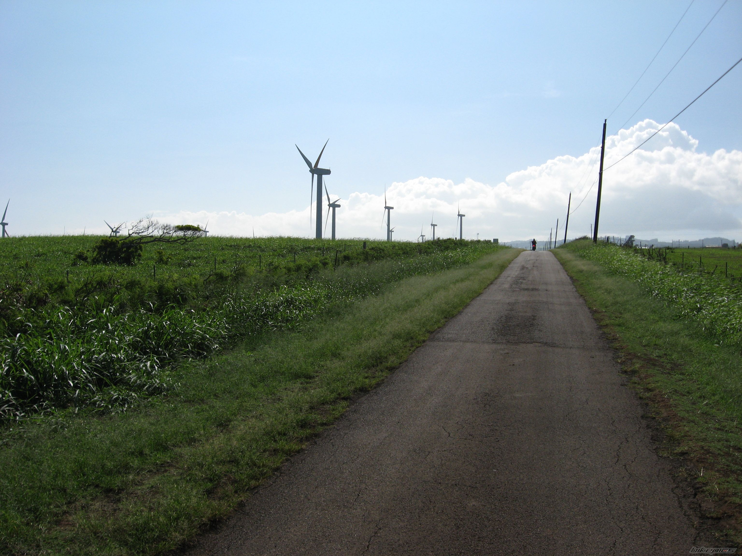 Photo 2101471