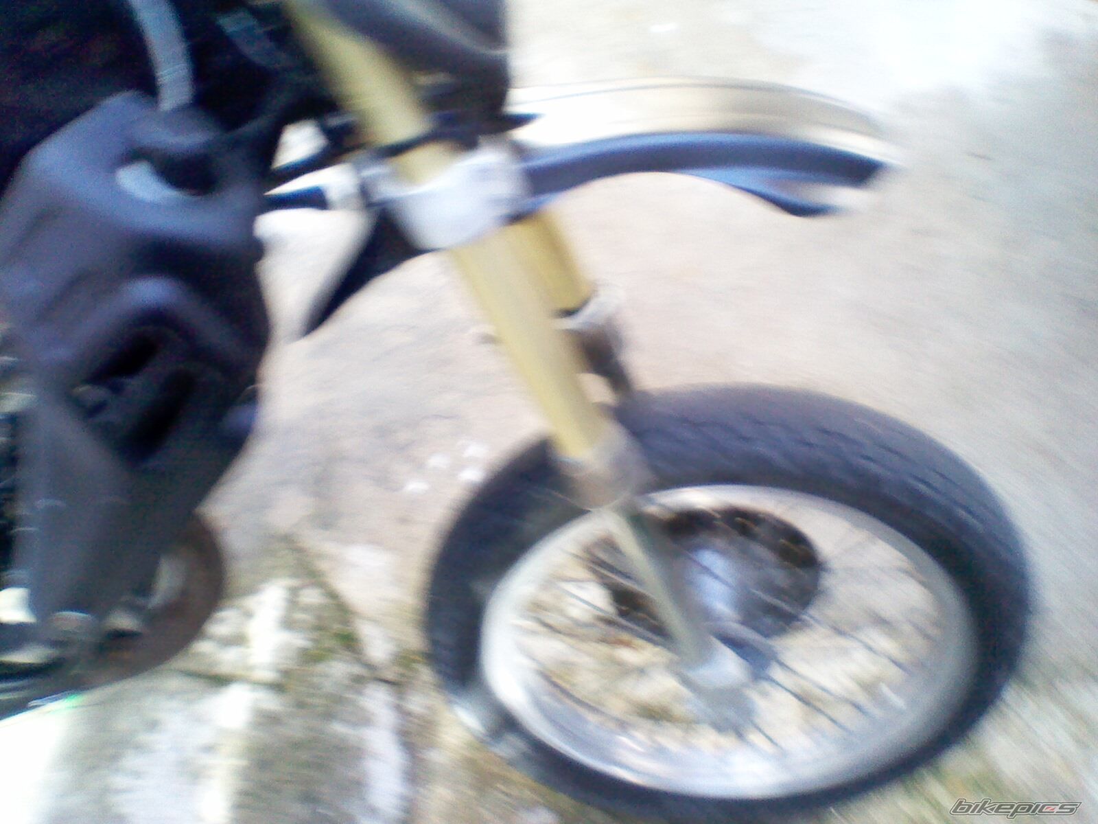 Magnum