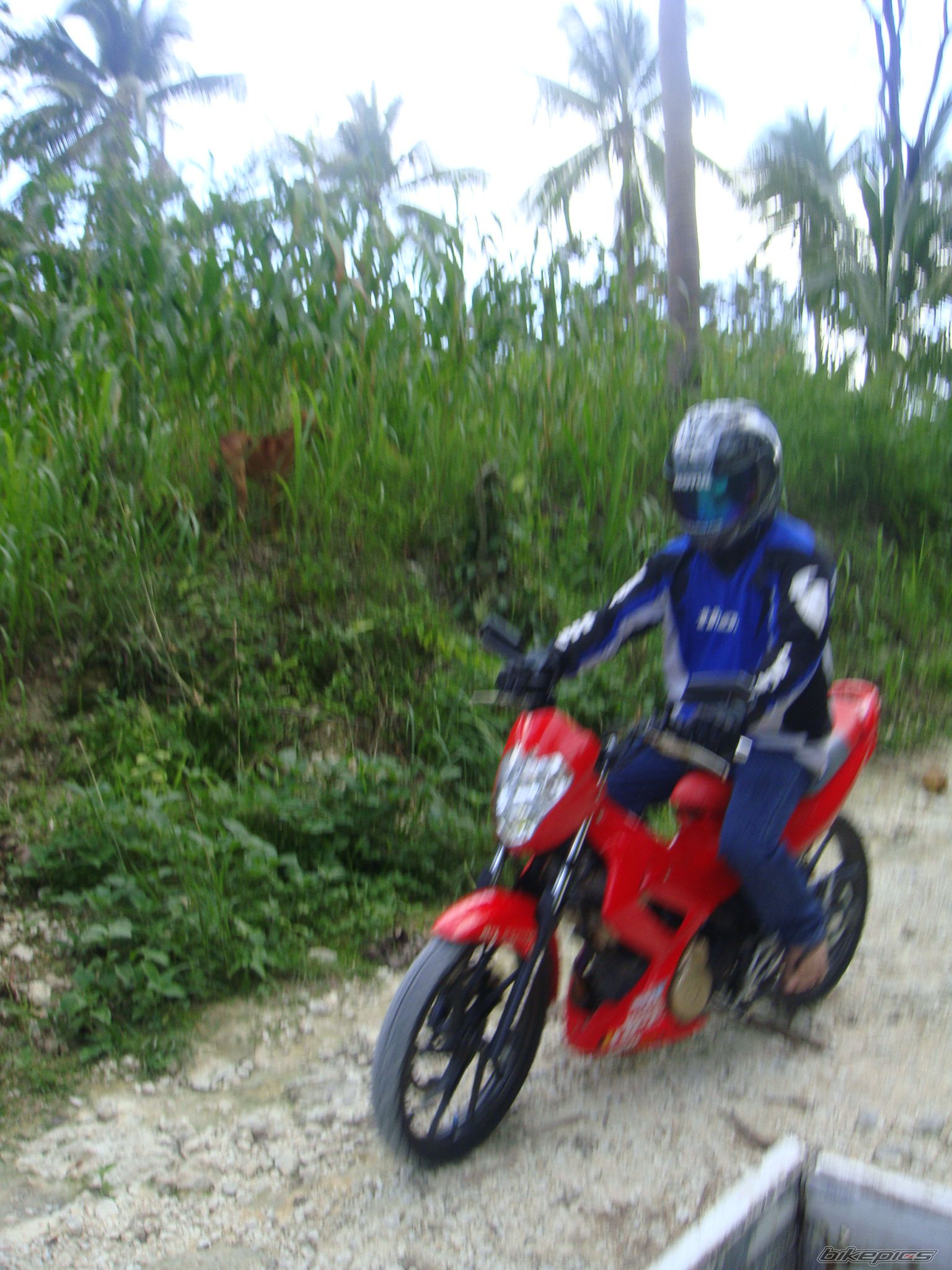 Photo 2102233