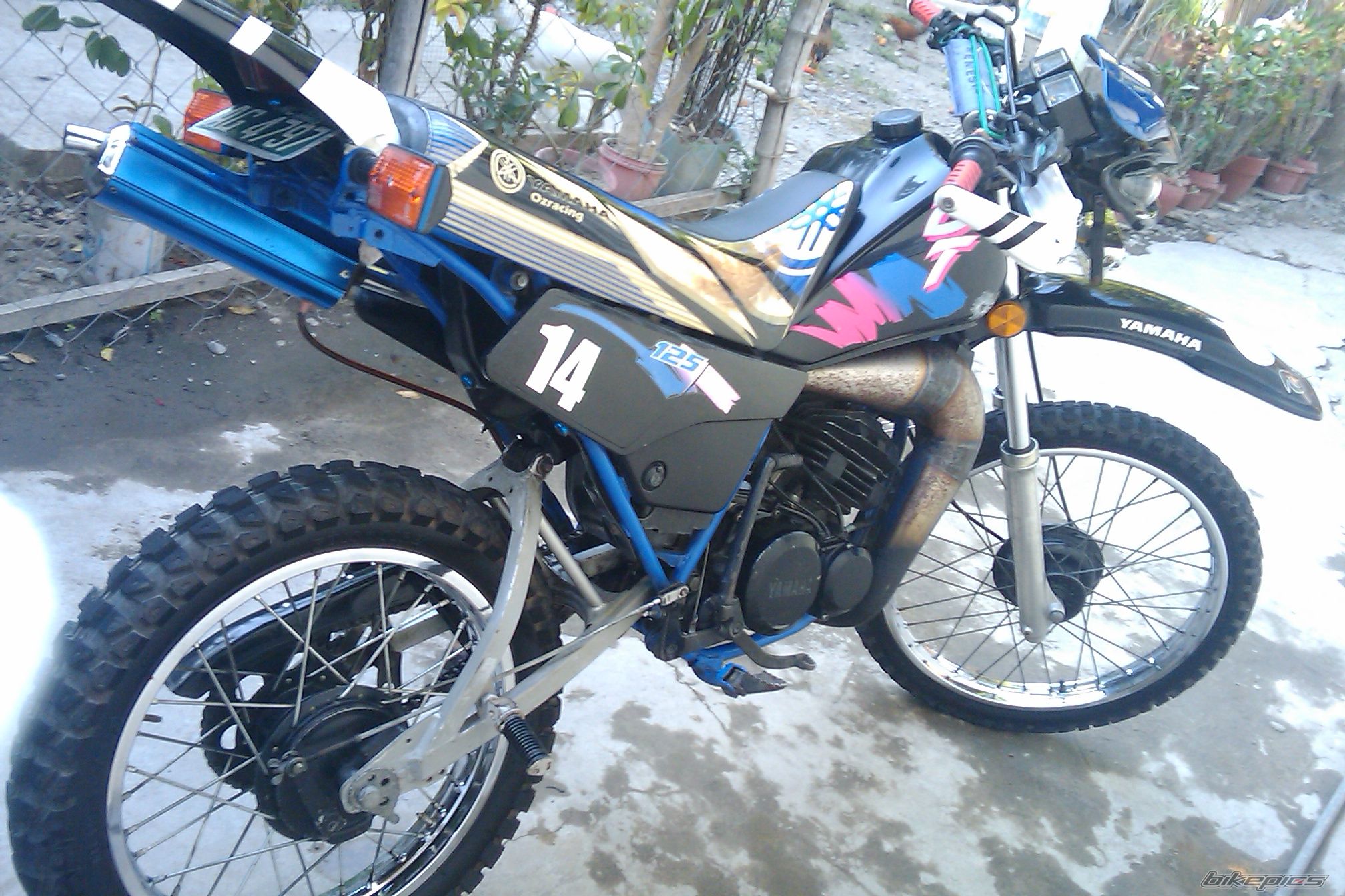 Photo 2102420