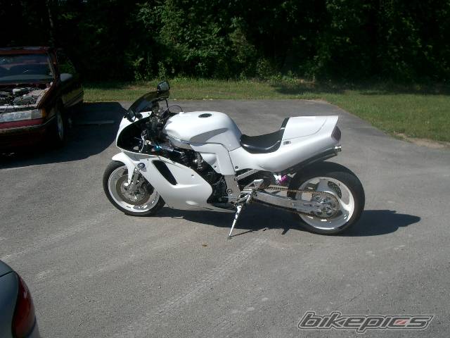 Photo 210251