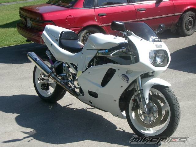 Photo 210255