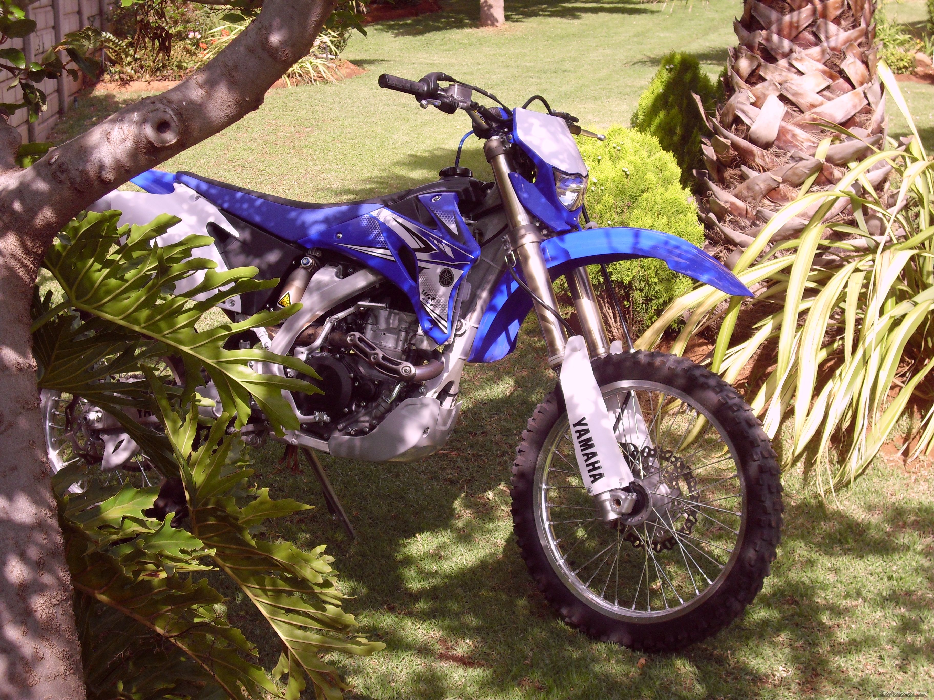 Photo 2102605