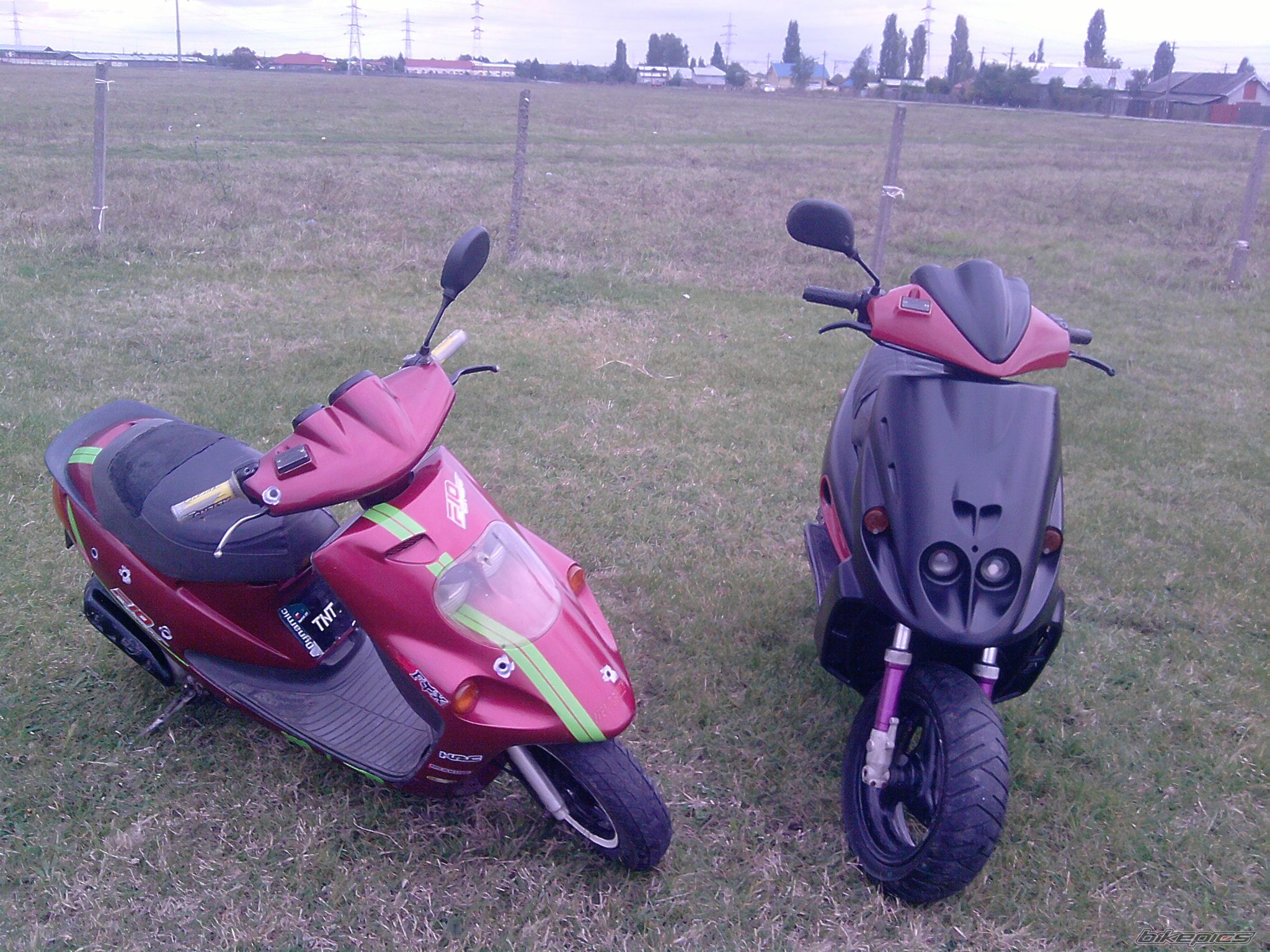 Photo 2102994