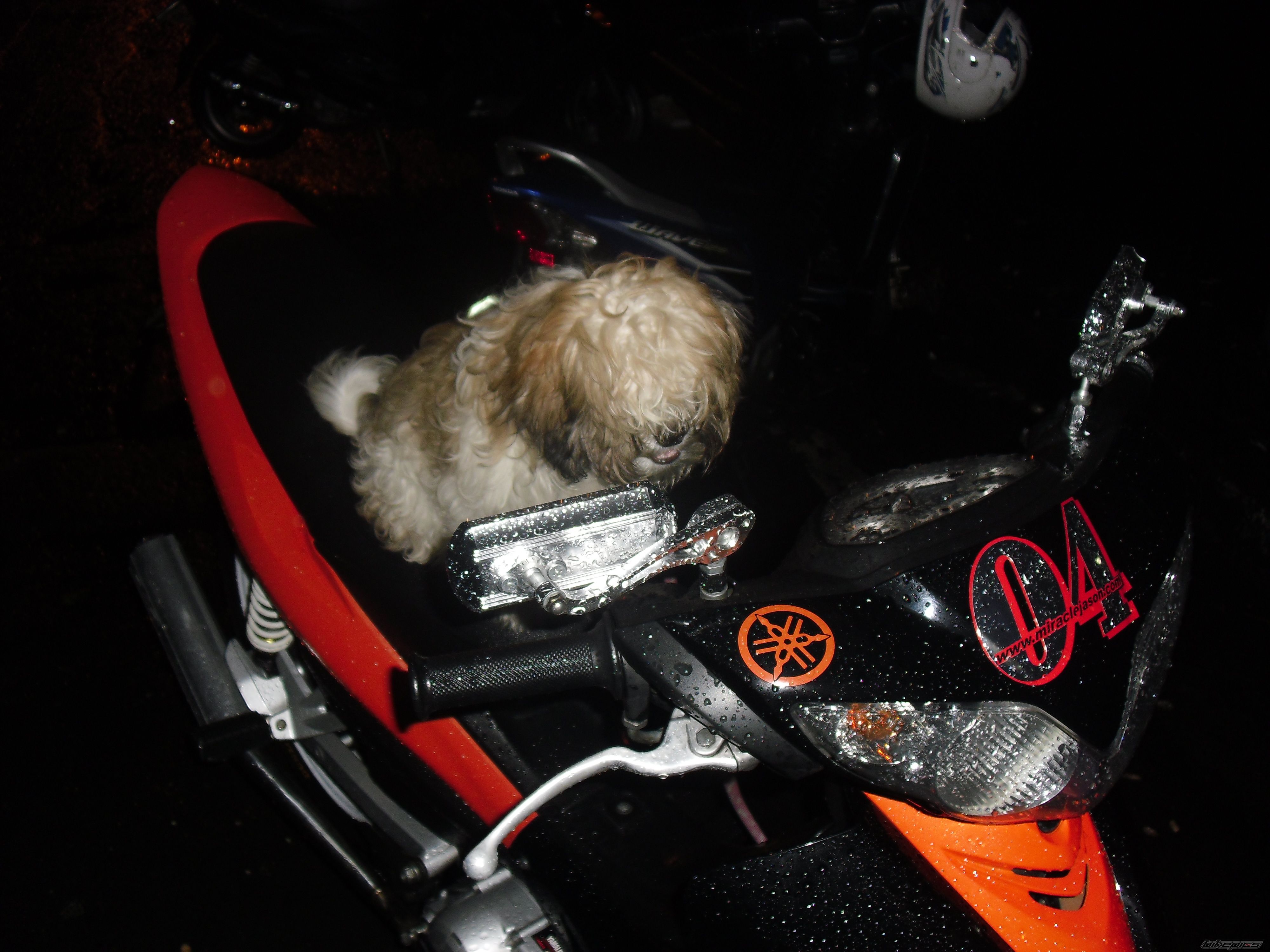 Bike Photo 2103360