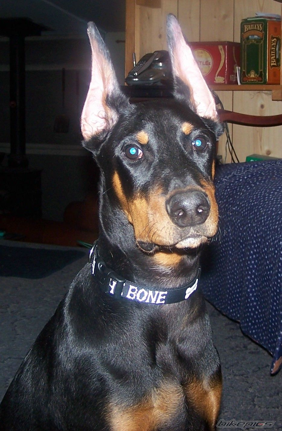 Photo 2103499
