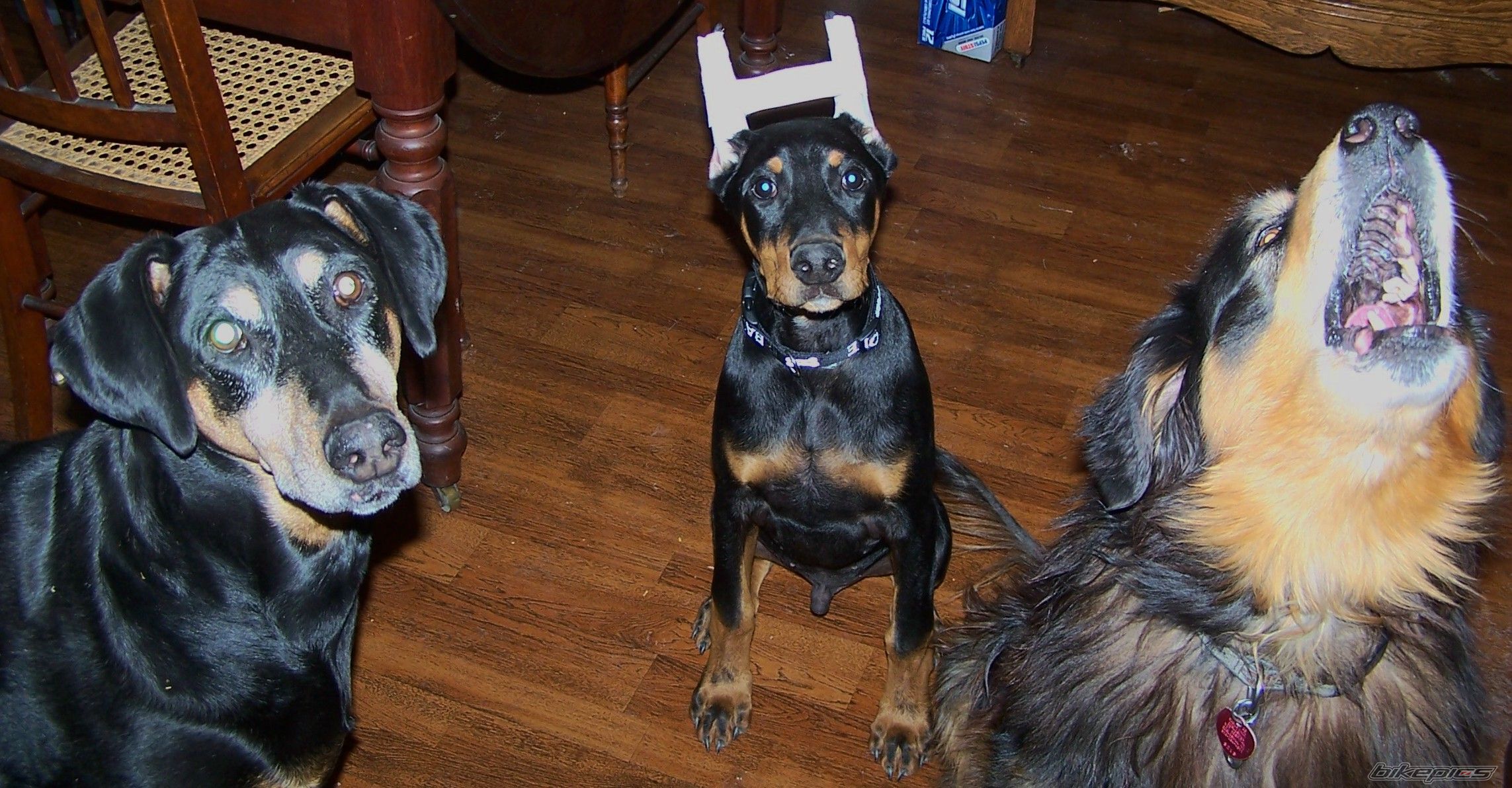 Photo 2103505