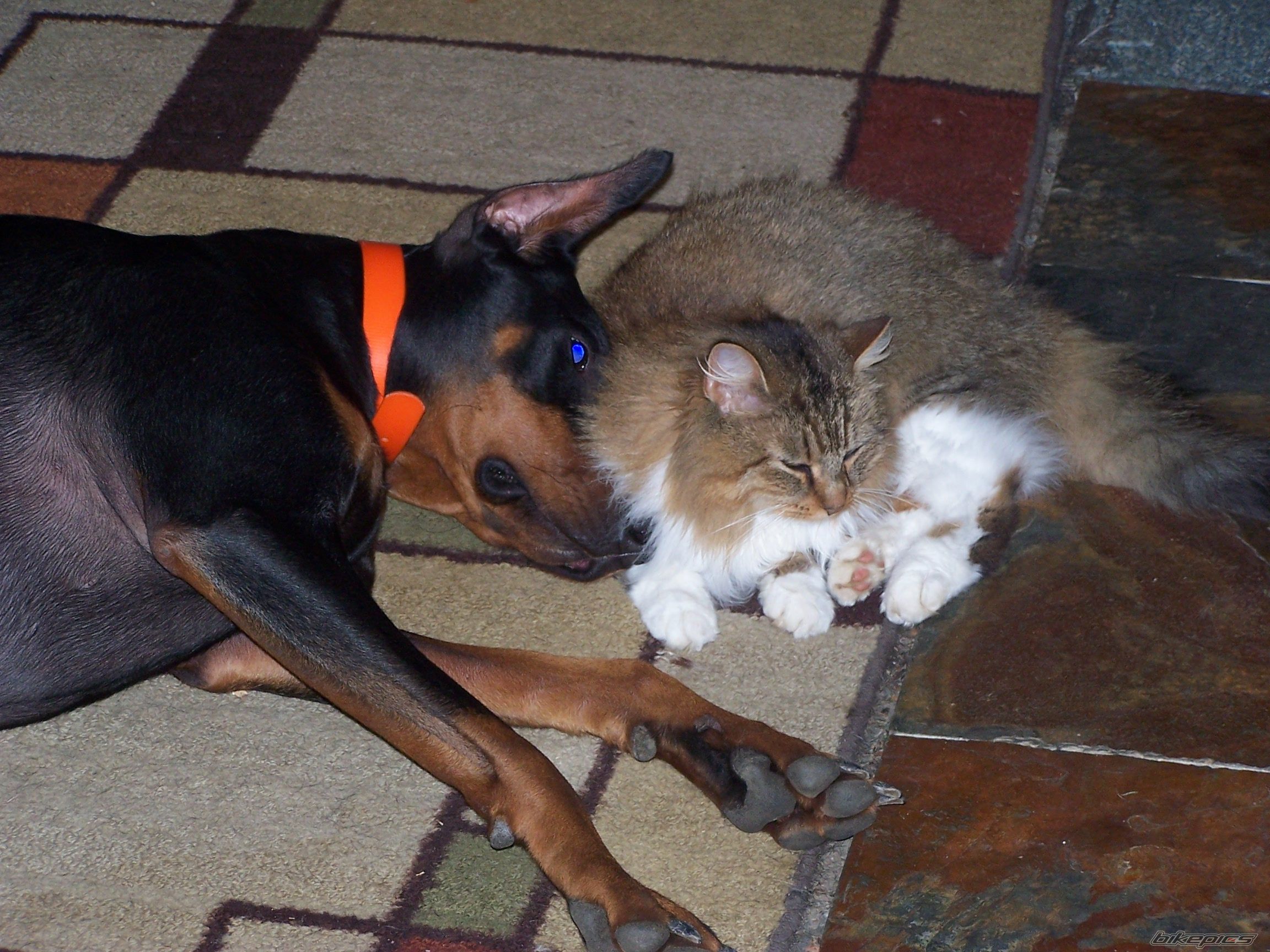 Photo 2103508