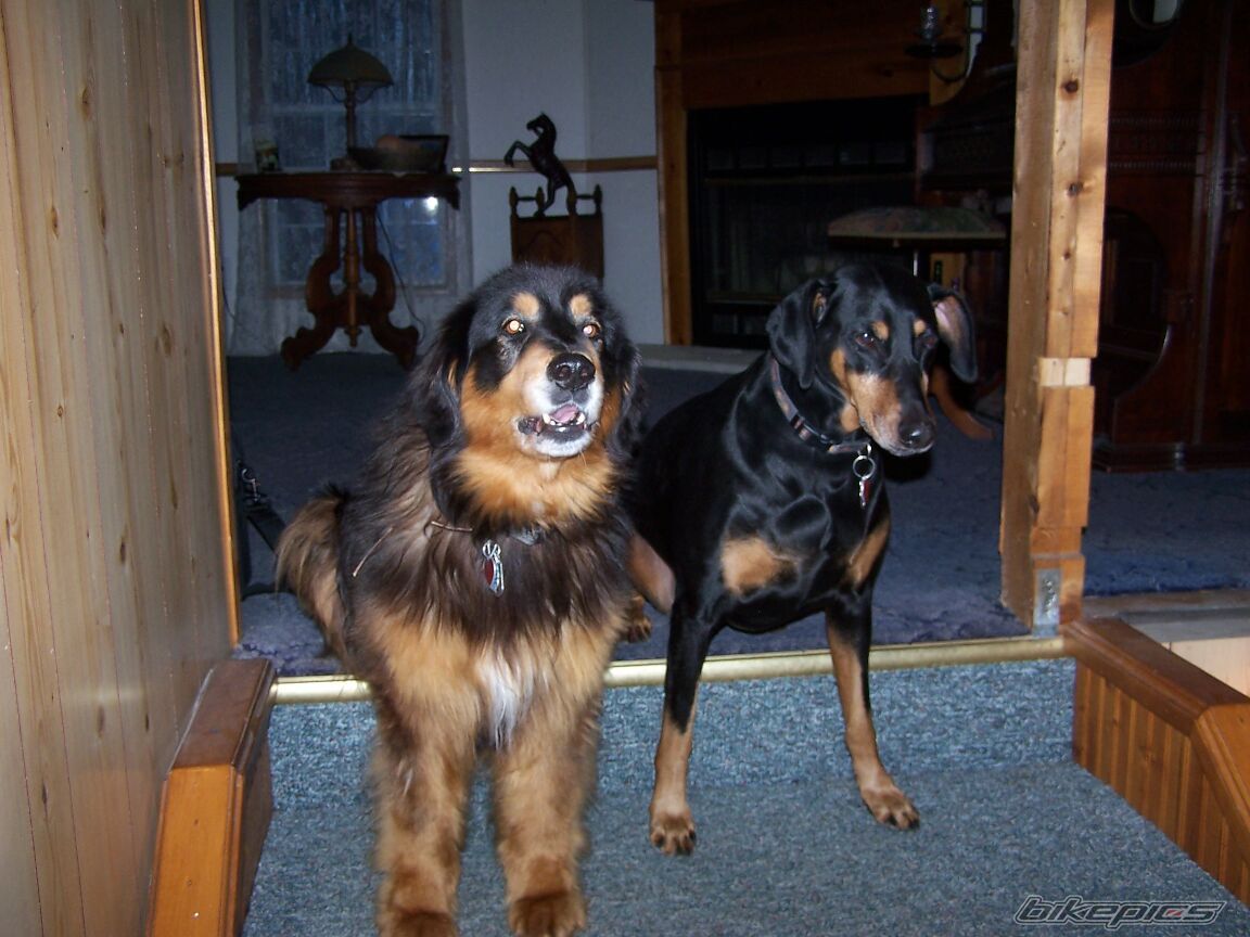 Photo 2103513