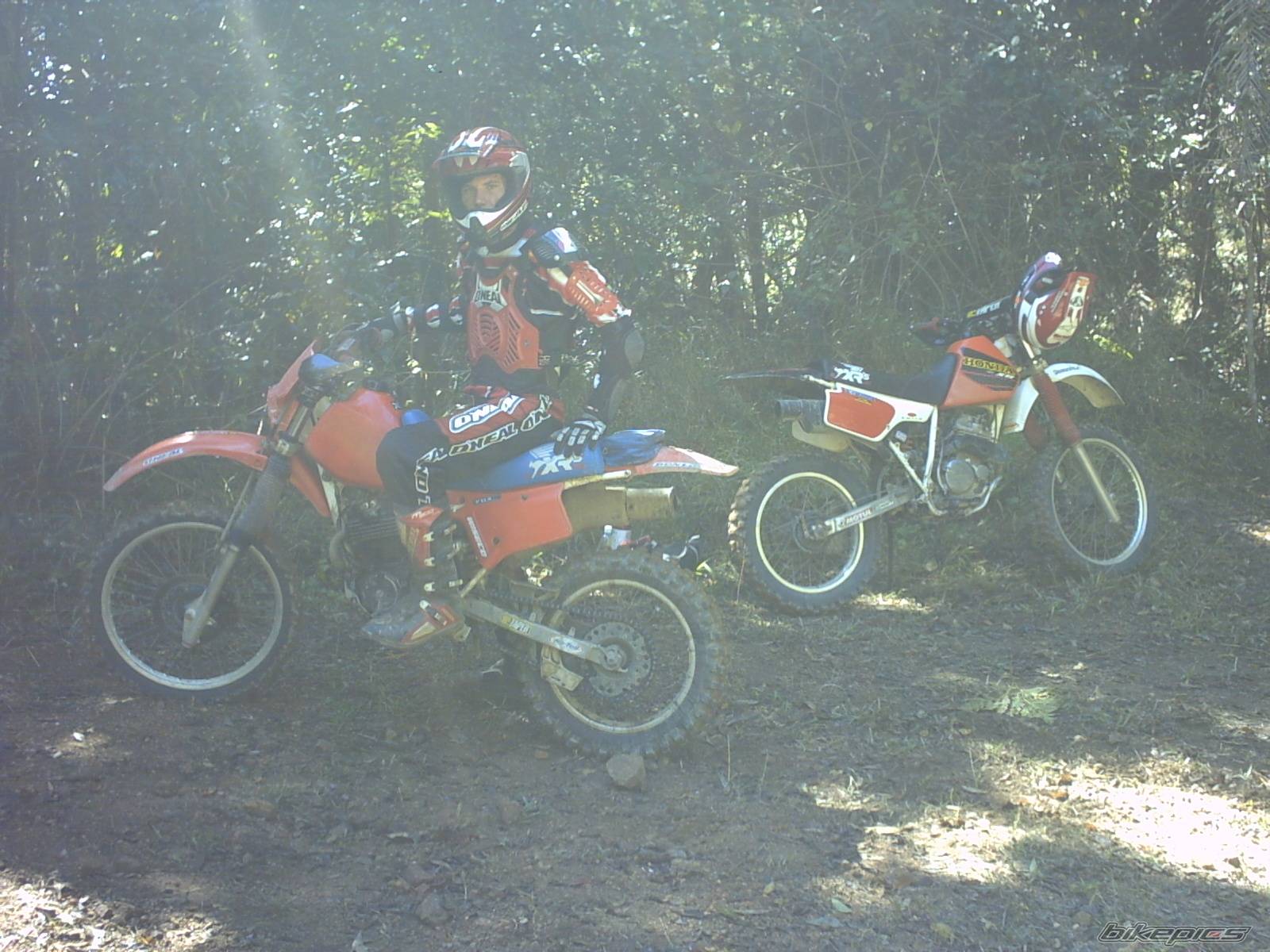 Photo 210363