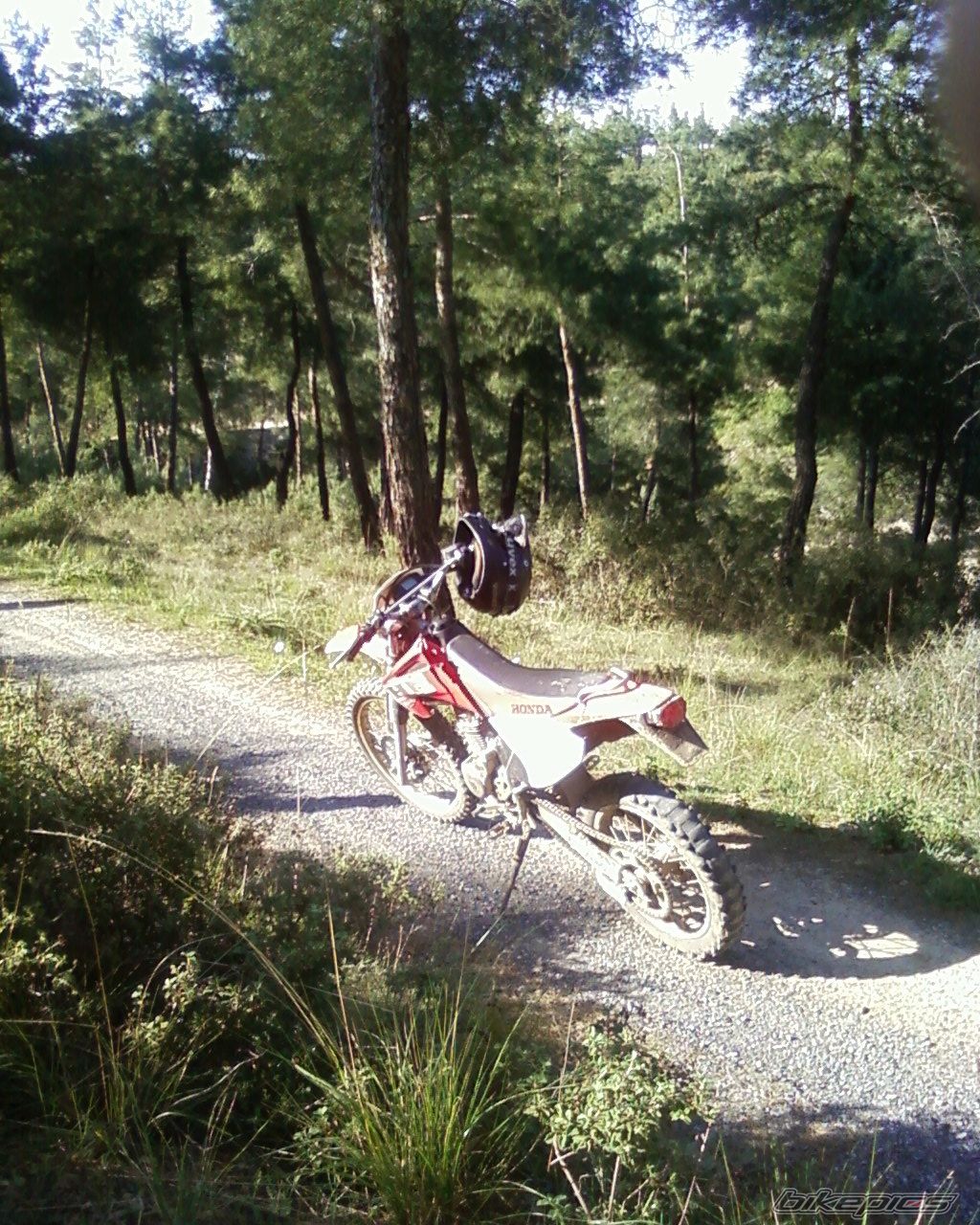 Bike Photo 2104276