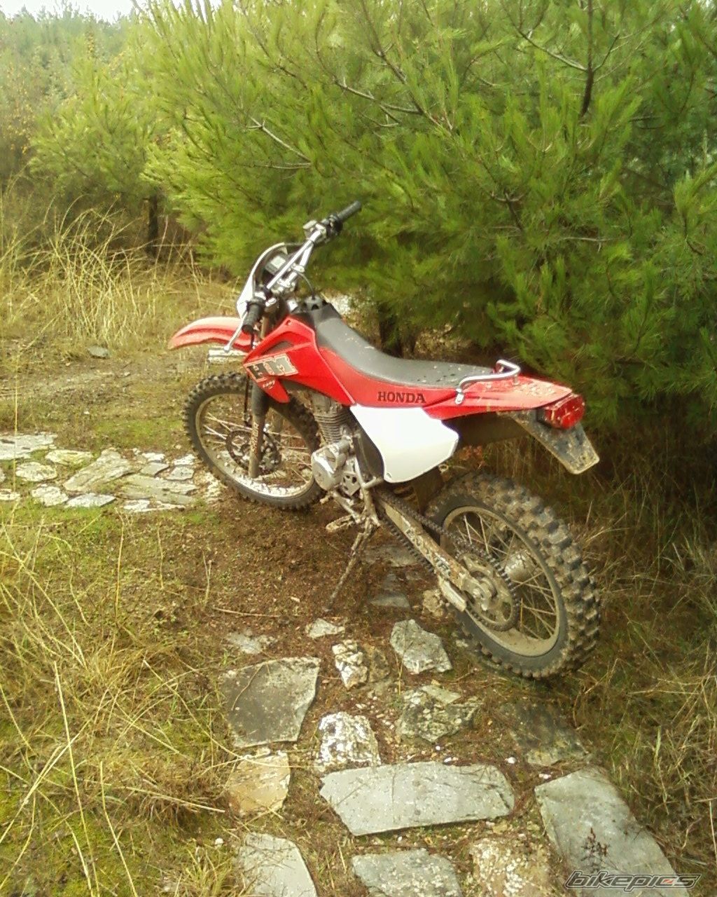 Bike Photo 2104278