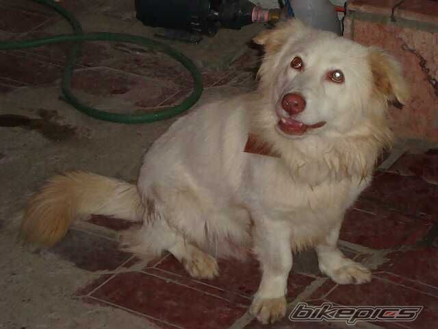 Photo 2104428