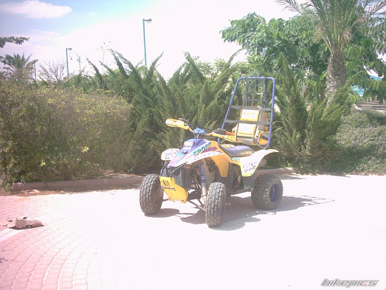Photo 210450