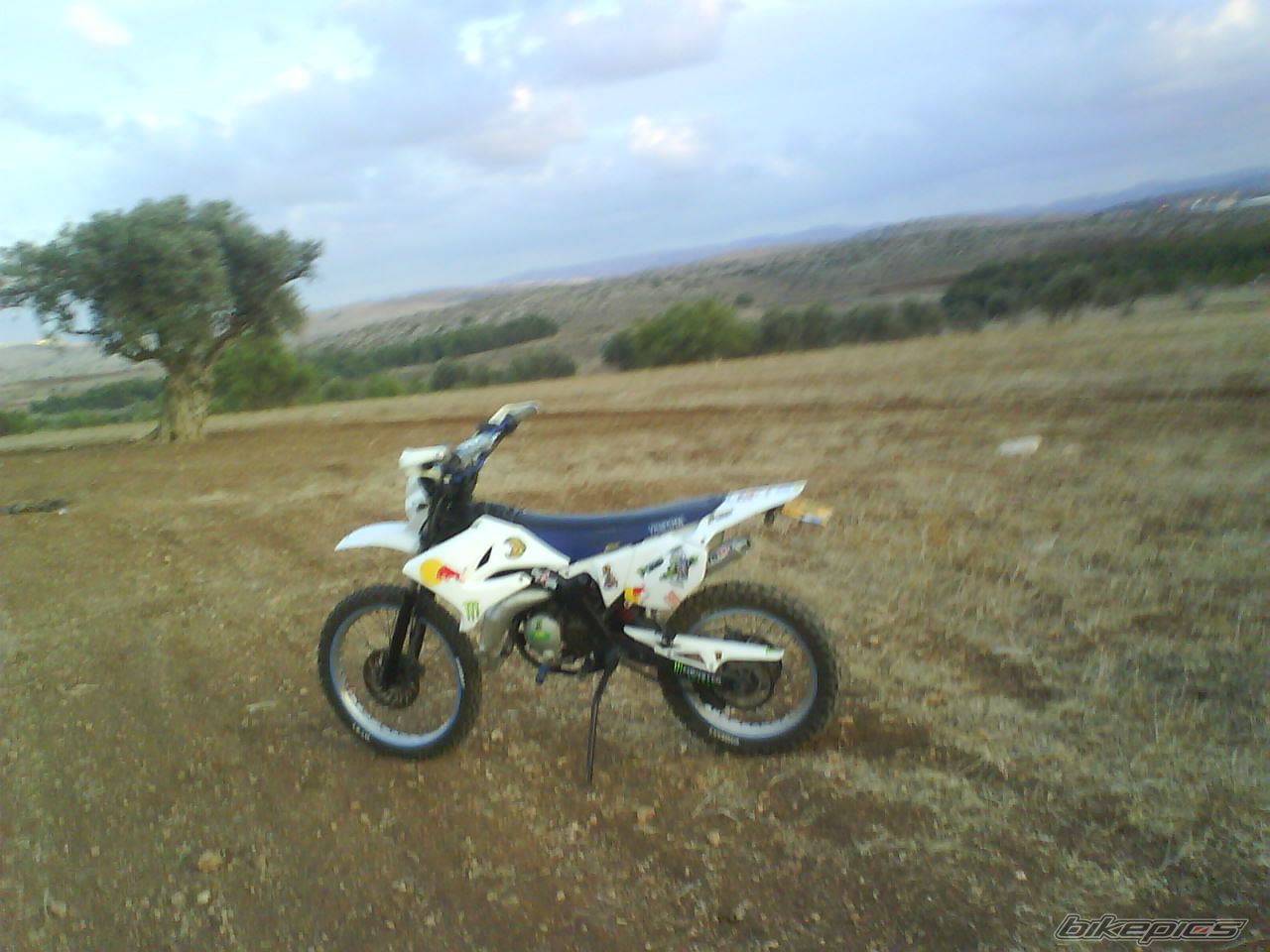 Photo 2104512